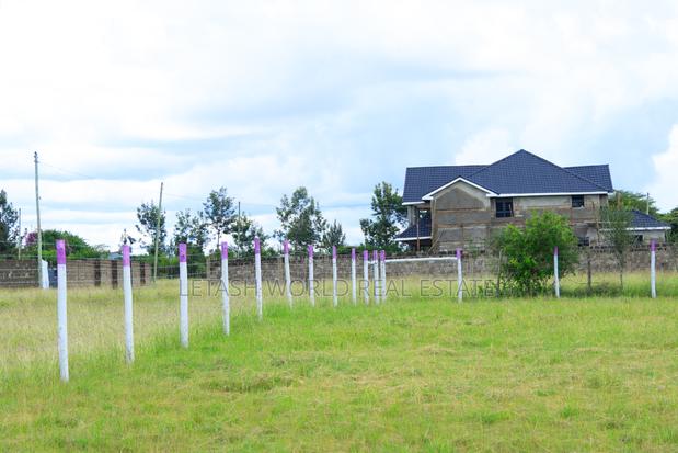 50 by 100 Prime Plots in Joskja Mutlia - thumbnail 2