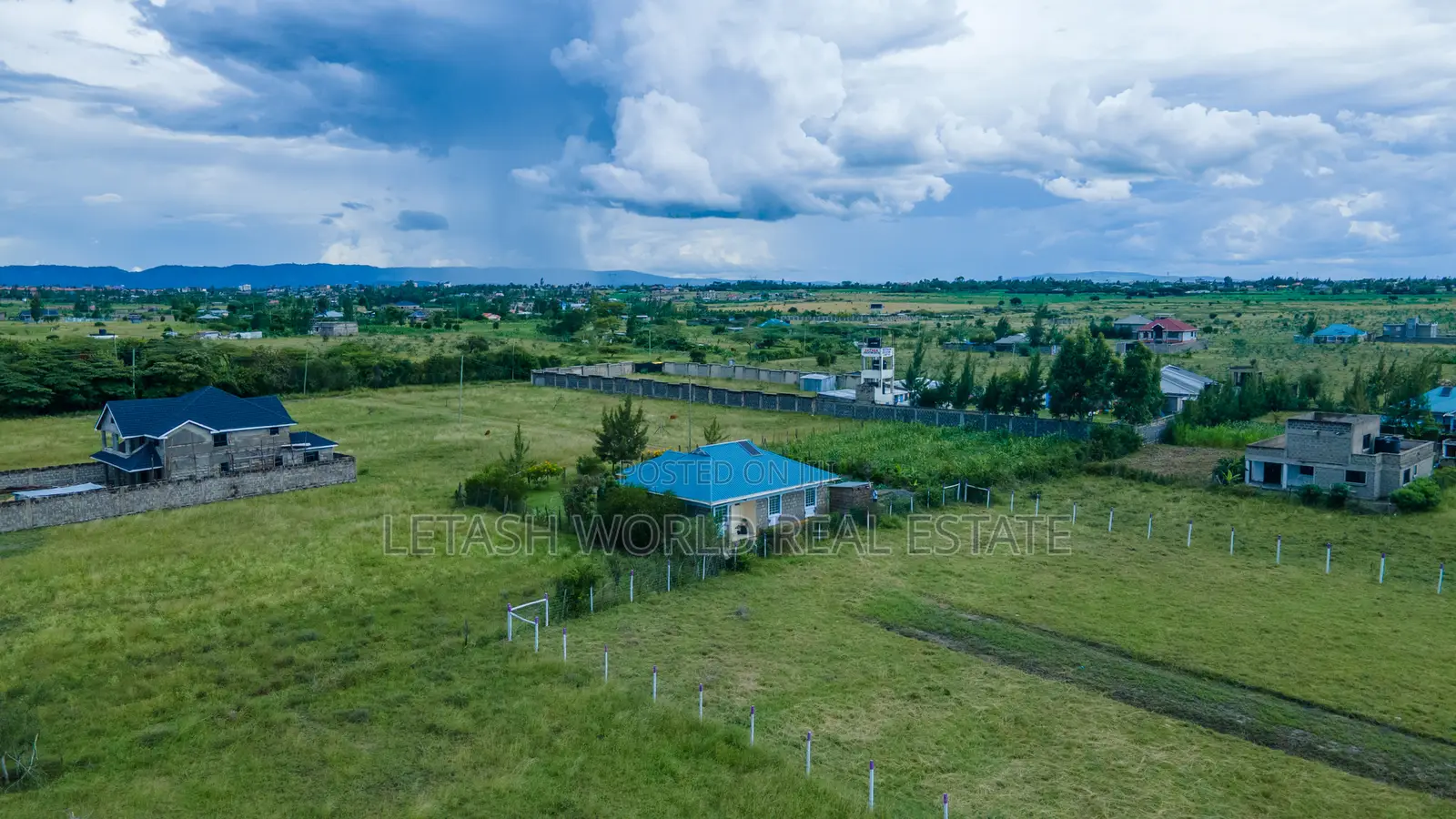 50 by 100 Prime Plots in Joskja Mutlia