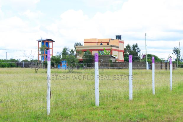 50 by 100 Prime Plots in Joskja Mutlia - thumbnail 5