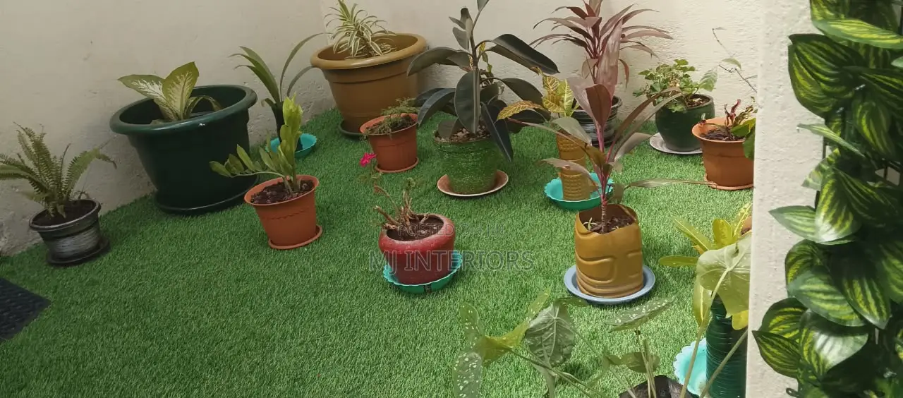 Artificial Lawn Carpet Supply for Homes Outdoor Projects Kenya
