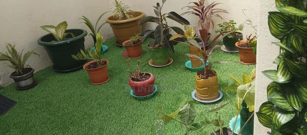 Artificial Lawn Carpet Supply for Homes Outdoor Projects Kenya