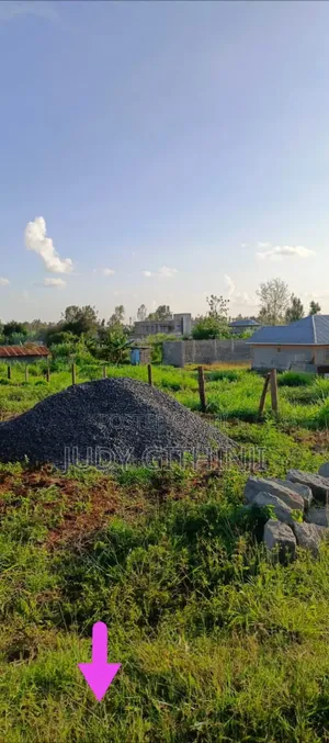 Ruiru Plots