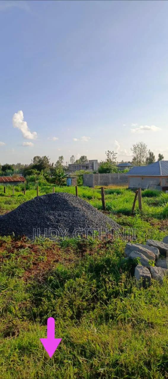 Ruiru Plots