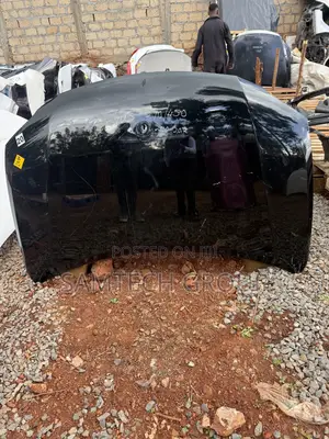 Lexus 270/240 2010 -2012 Bonnet Cover