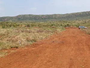 Affordable Plots for Sale