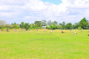 Kilimambogo Plots Mm