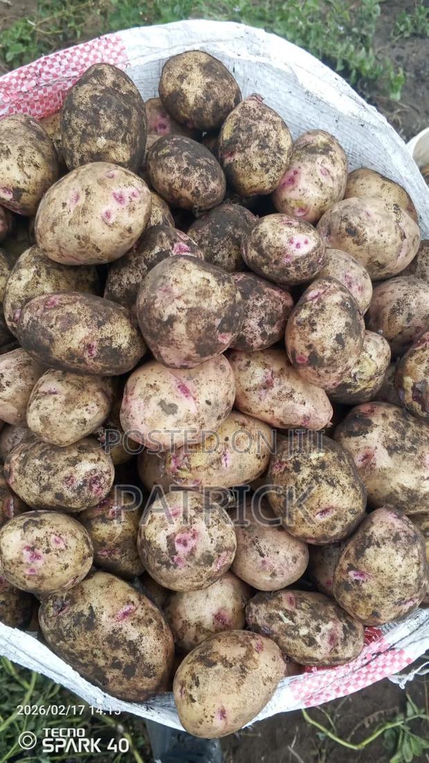 Potatoes Wholesale Retail - thumbnail 2