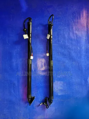 Fortuner Electric Bootshock