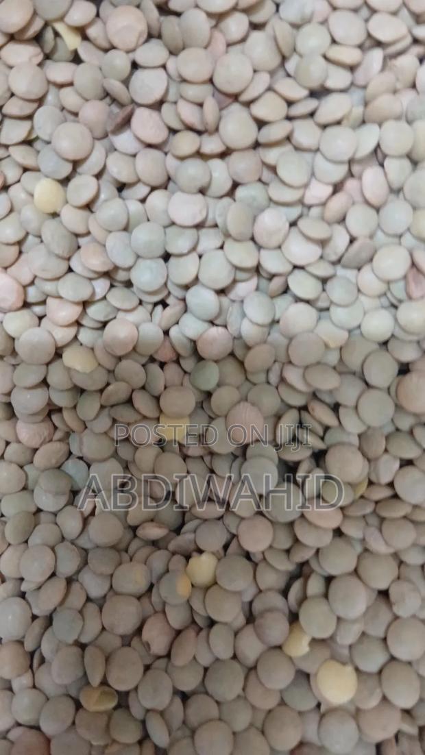 Green Lentils - thumbnail 2