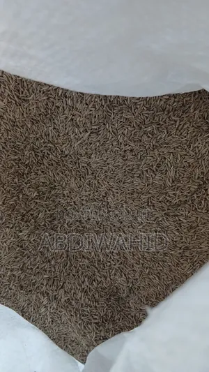 Premium Cumin Seeds for Sale Retail Wholesale Available