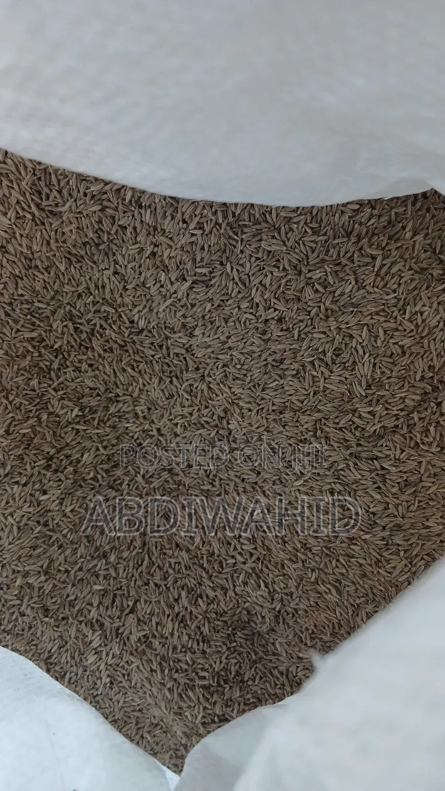 Premium Cumin Seeds for Sale Retail Wholesale Available