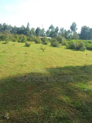 Land For Sale In Sinoko Kipsingore Trans-nzoia