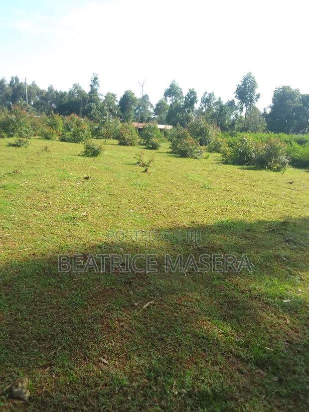 Land For Sale In Sinoko Kipsingore Trans-nzoia