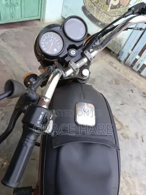 Bajaj Boxer 100 2019 Red