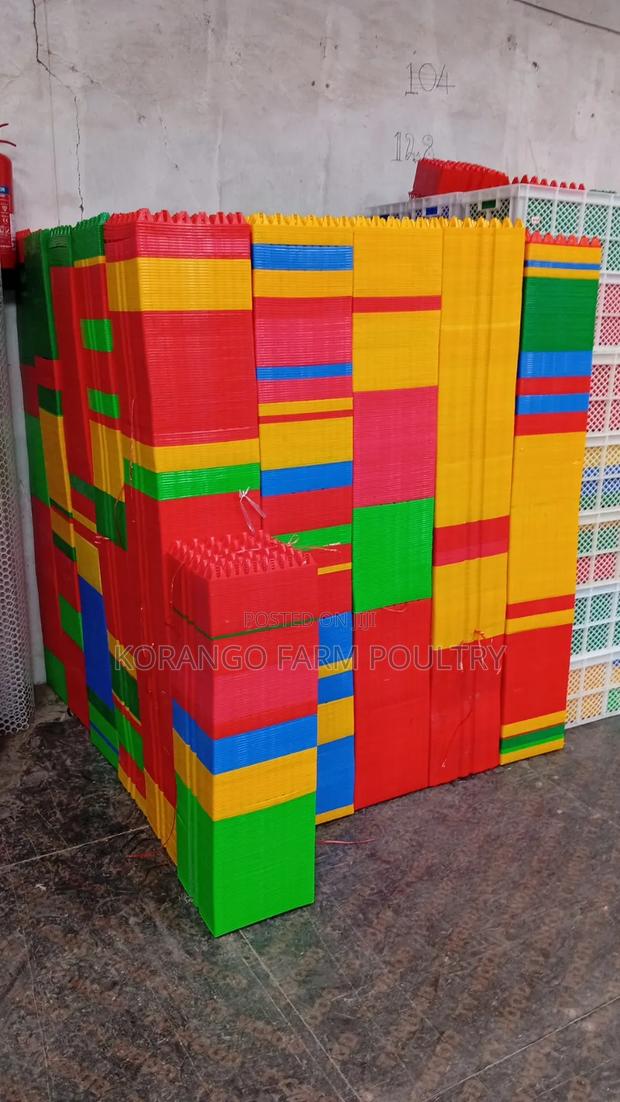 Plastic Eggs Tray - main view
