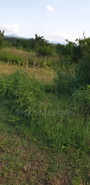 Prime Land for Sale