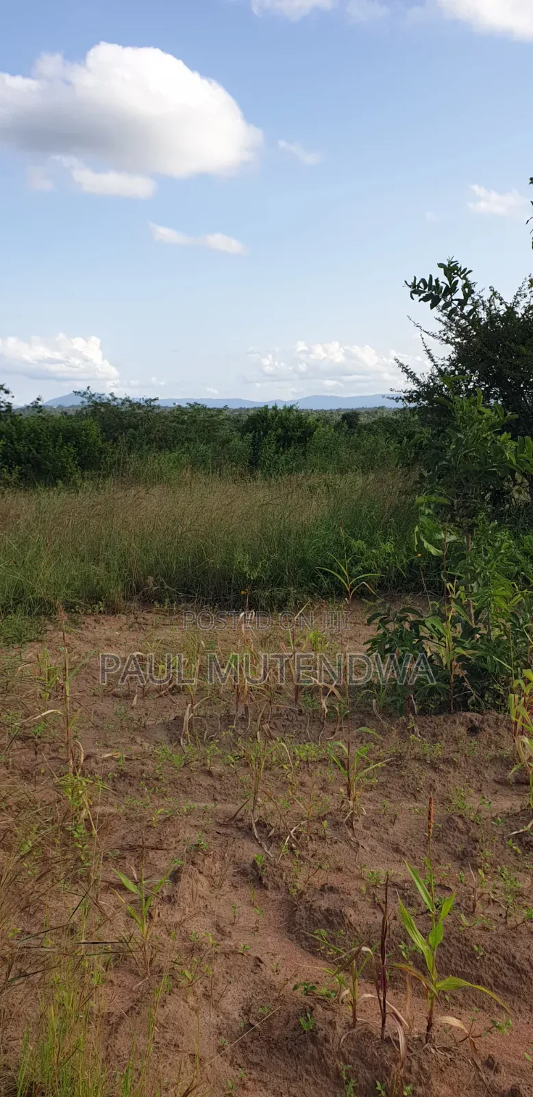 Prime Land for Sale