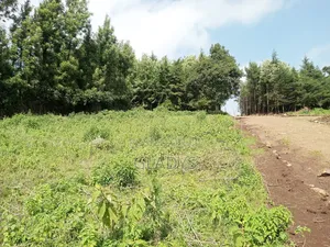 Kibiko 1/8acre Plot Along Lemiso Road