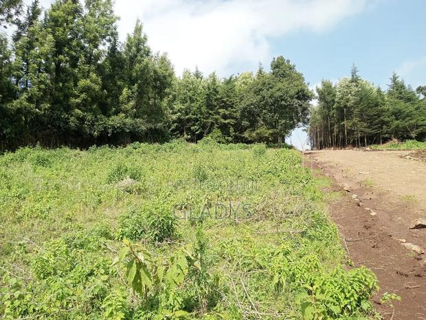 Kibiko 1/8acre Plot Along Lemiso Road - thumbnail 2
