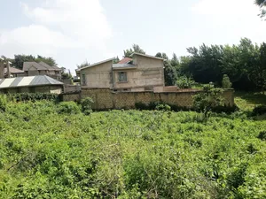 Kibiko 1/8acre Plot Along Lemiso Road