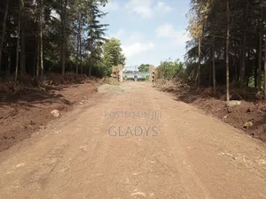 Kibiko 1/8acre Plot Along Lemiso Road