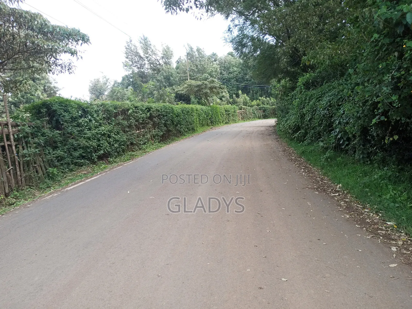 Kibiko 1/8acre Plot Along Lemiso Road