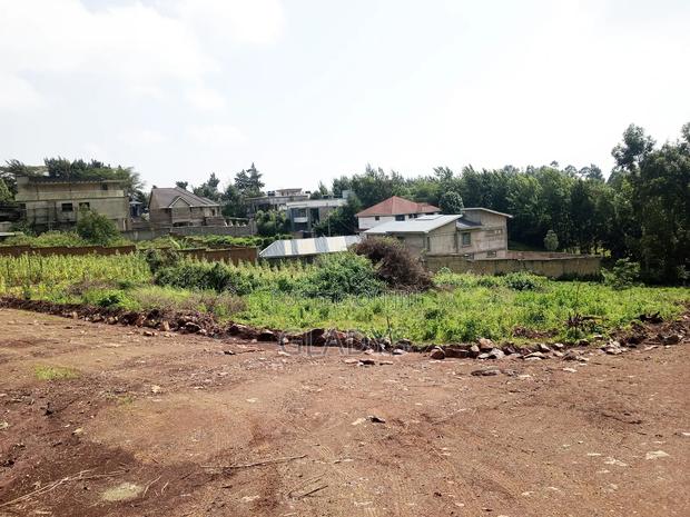Kibiko 1/8acre Plot Along Lemiso Road - thumbnail 6