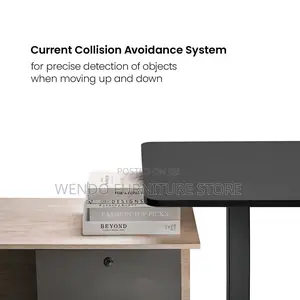 Office Desk : 1.6m Black Motorized Sit-Stand Desk
