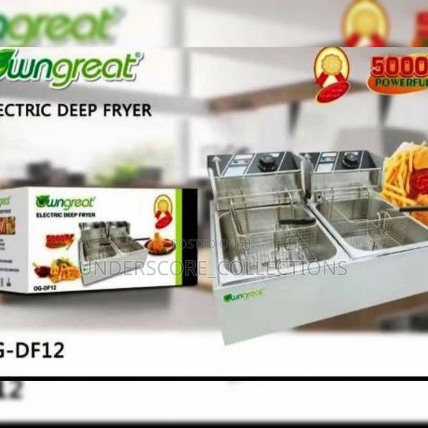 Double Deep Fryer