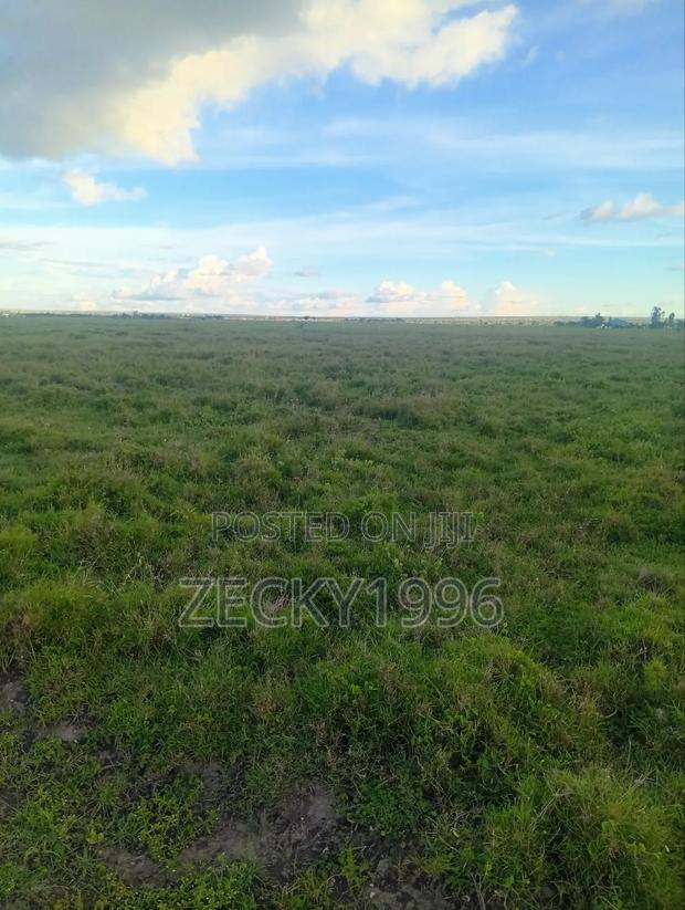 Land For Sale. Kca Area 50/100. - thumbnail 5