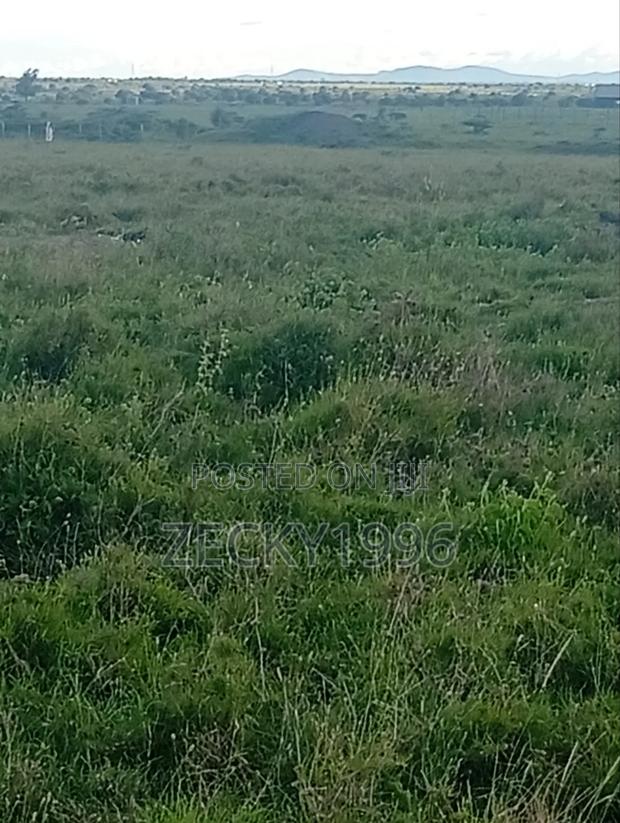 Land For Sale. Kca Area 50/100. - thumbnail 7