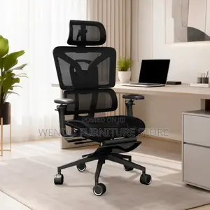 Office Chair : Black Mesh Ergonomic Office Chair-retractable Footrest