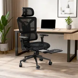 Office Chair : Black Mesh Ergonomic Office Chair-retractable Footrest