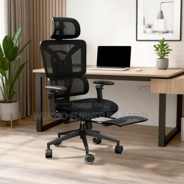 Office Chair : Black Mesh Ergonomic Office Chair-retractable Footrest