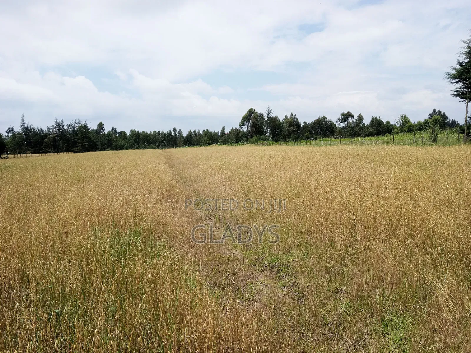 Kinagop Kwa Ben 2.397 Acres Along Kahuru