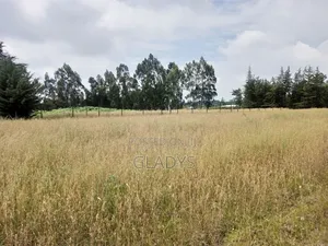 Kinagop Kwa Ben 2.397 Acres Along Kahuru