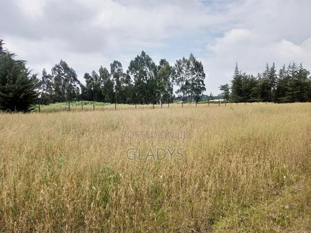 Kinagop Kwa Ben 2.397 Acres Along Kahuru - thumbnail 4
