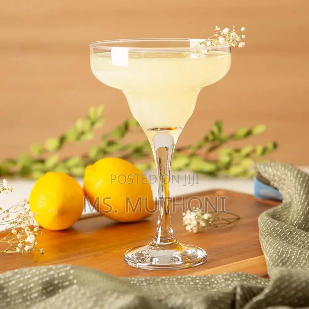 6pcs Lav 300ml Quality Margarita Glasses