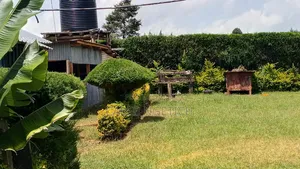 Offering Landscaping and Fence Trimming Services