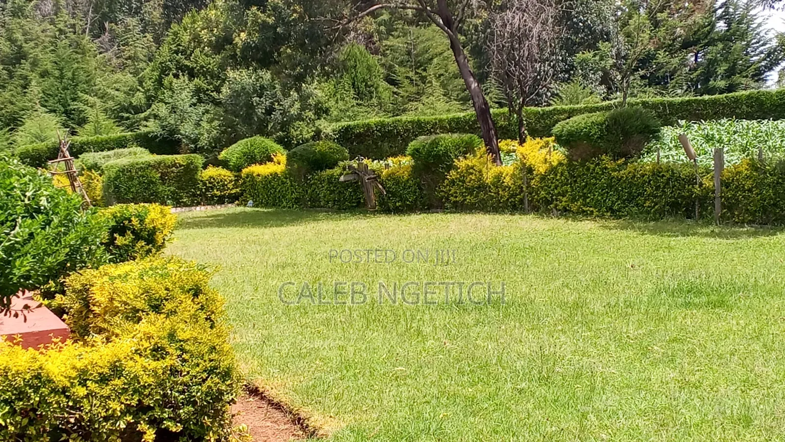 Offering Landscaping and Fence Trimming Services