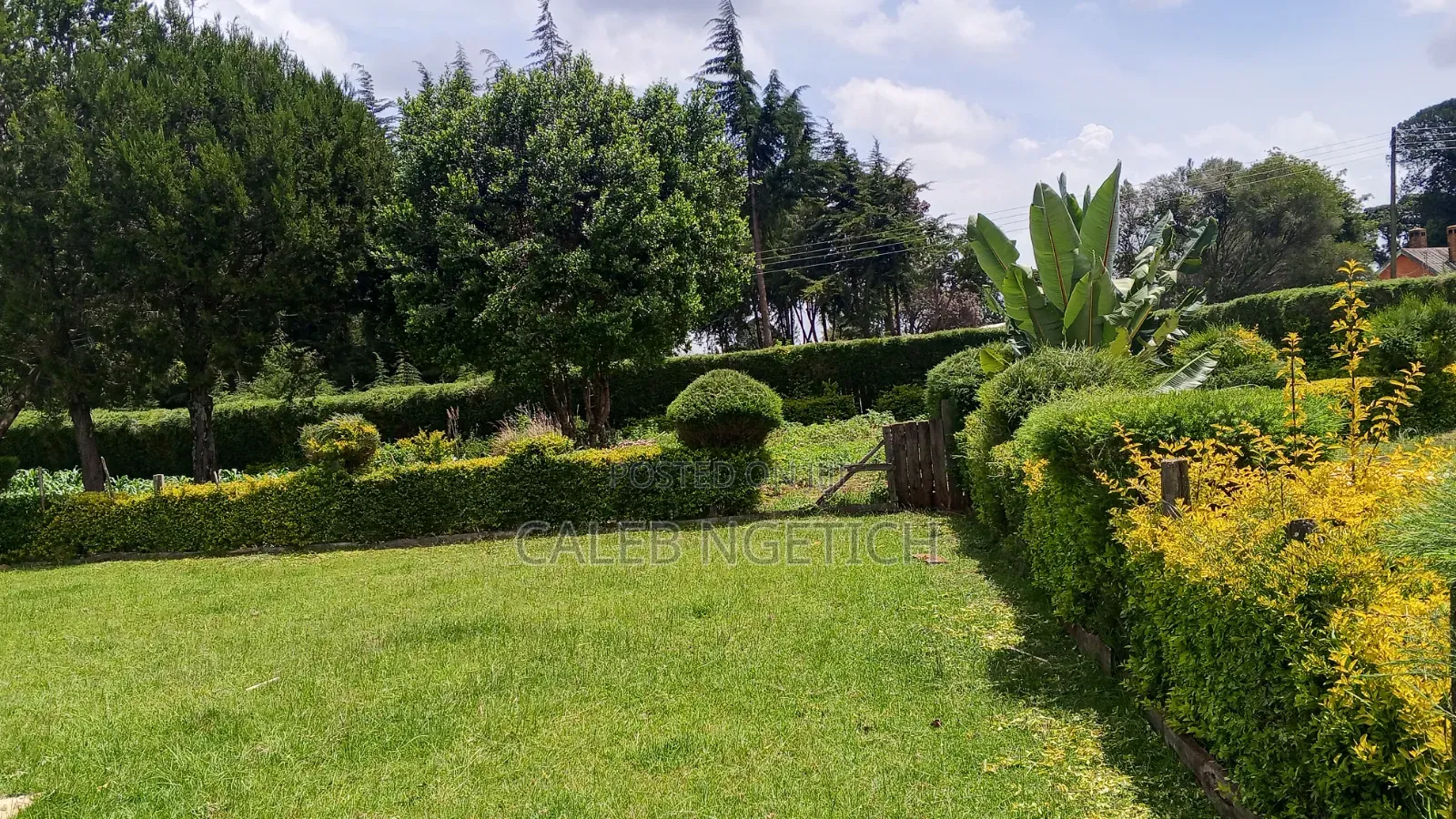 Offering Landscaping and Fence Trimming Services