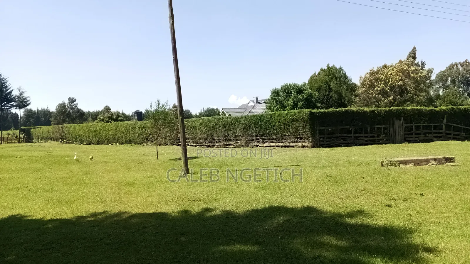 Offering Landscaping and Fence Trimming Services
