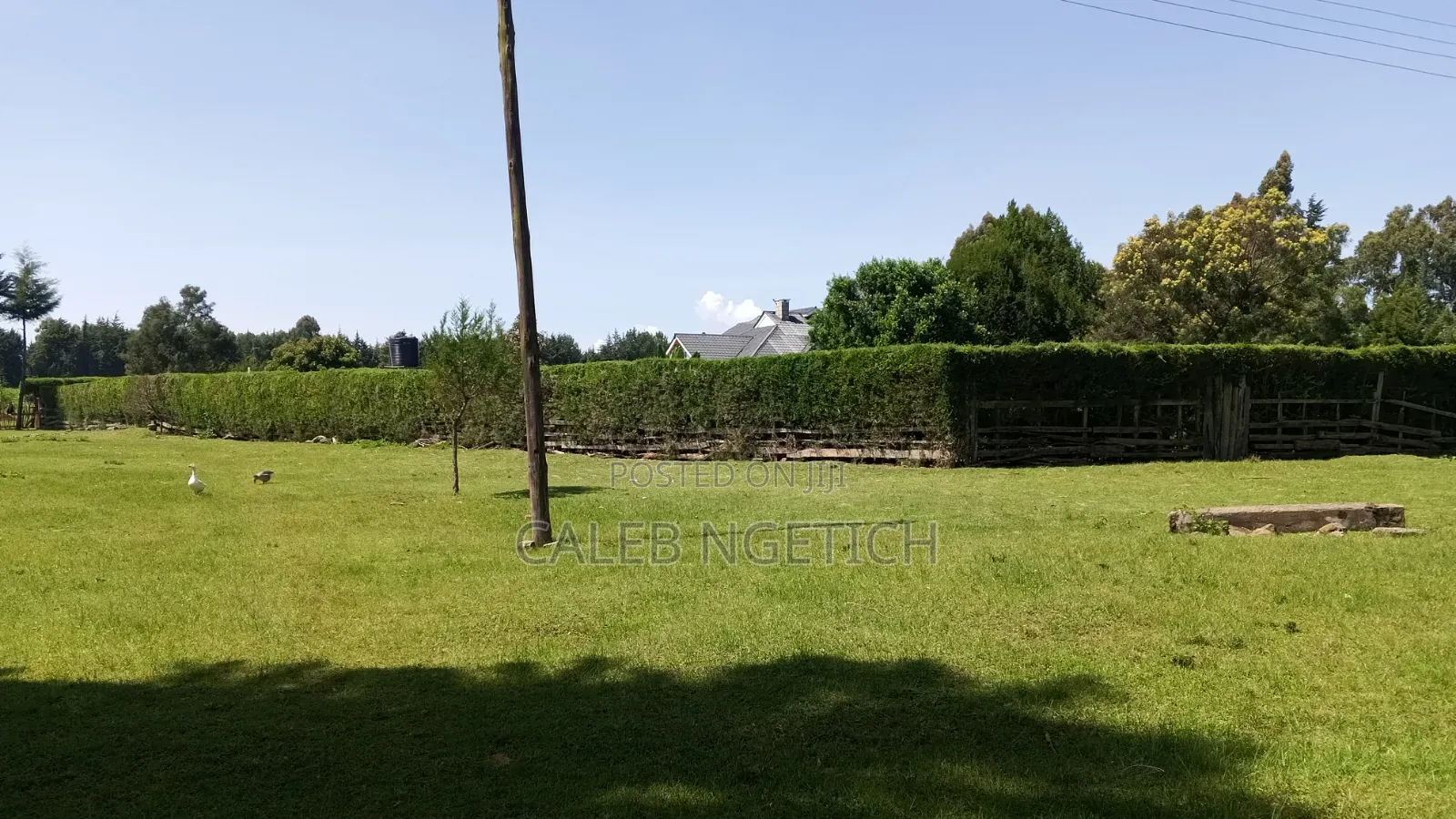 Offering Landscaping and Fence Trimming Services