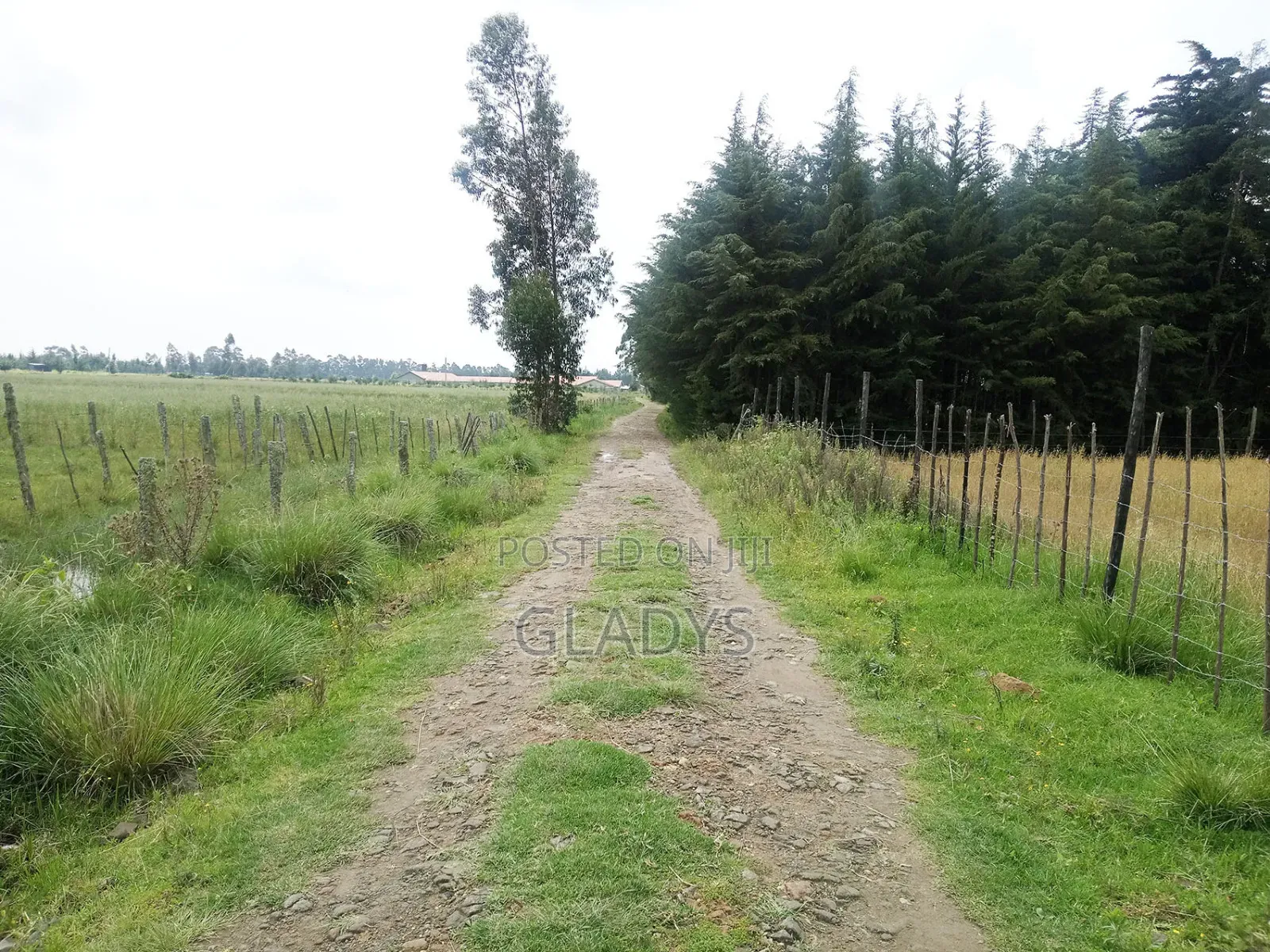 Kinagop Kwa Ben 2.397 Acres Along Kahuru