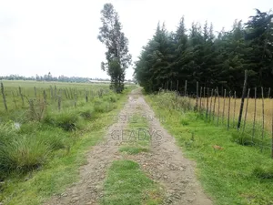 Kinagop Kwa Ben 2.397 Acres Along Kahuru