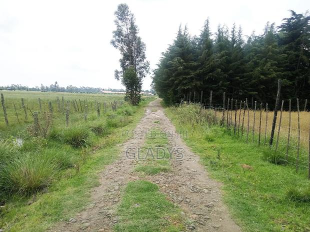 Kinagop Kwa Ben 2.397 Acres Along Kahuru - thumbnail 5