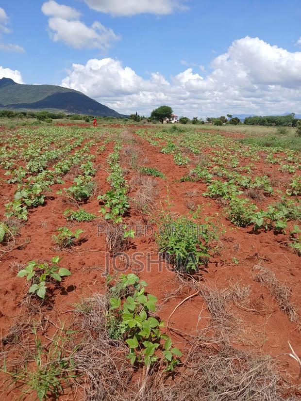 Selling Green Grams (Makueni)