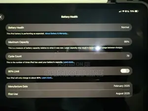 Apple iPad Pro 256 GB Gray