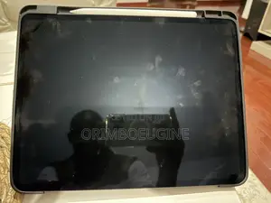 Apple iPad Pro 256 GB Gray