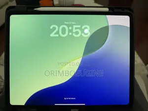Apple iPad Pro 256 GB Gray
